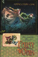 Copertina  Addio, Fairy Oak