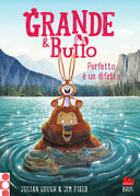Copertina  Perfetto è un difetto
